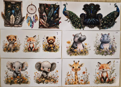 Wraps Animaux